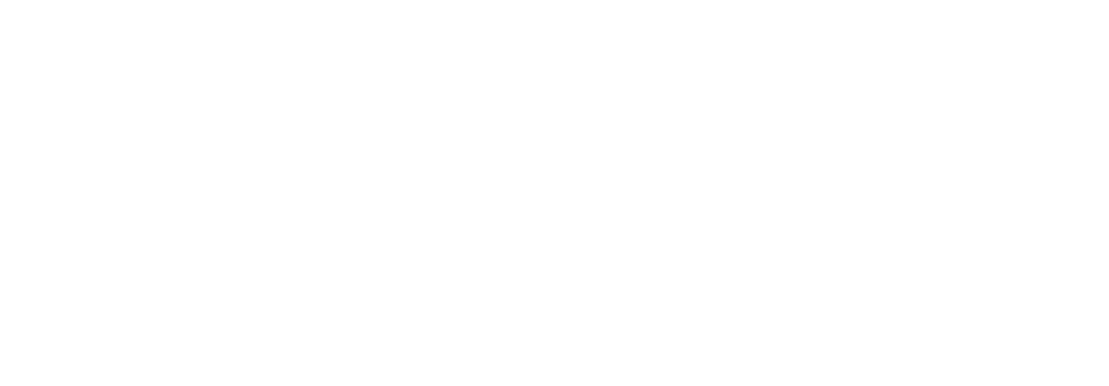 Wood Fort